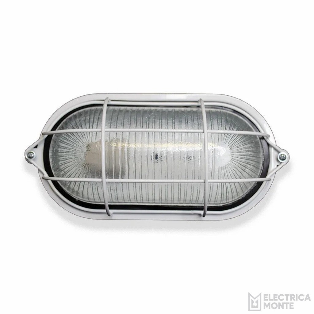 Tortuga Chapa Ovalada Blanco