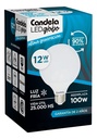 Lampara Globo 12w Frio