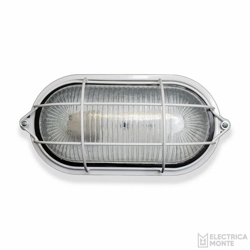 [800005] Tortuga Chapa Ovalada Blanco