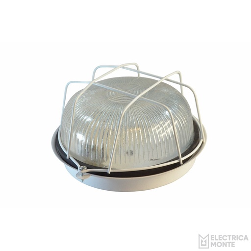 [800004] Tortuga Chapa Redonda Blanca