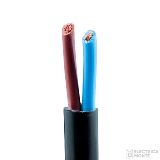 [T21NE] Cable Tipo Taller 2x1mm Negro Argenplas