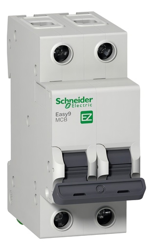 [EZ9F34232] Termica Easy9 2x32A Schneider